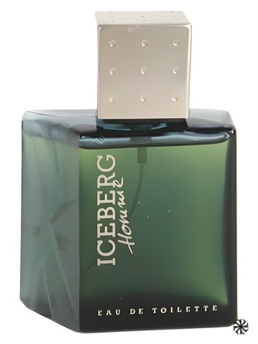 Iceberg Homme Iceberg