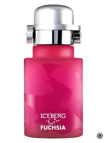 Twice Fuchsia Iceberg