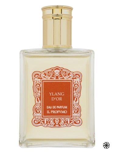 Ylang D'Or Il Profvmo