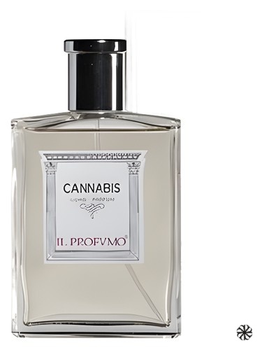 Osmo Scents Cannabis Il Profvmo