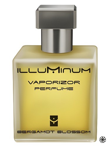 Bergamot Blossom Illuminum