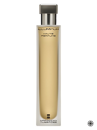 Moroccan Tuberose Illuminum