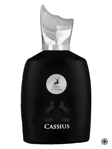 Cassius Maison Alhambra