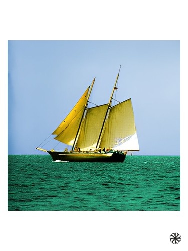 Sea Wood Abdes Salaam Attars Perfumes