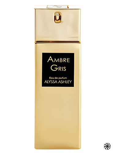 Ambre Gris Alyssa Ashley
