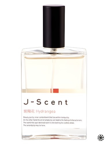 Hydrangea J-Scent