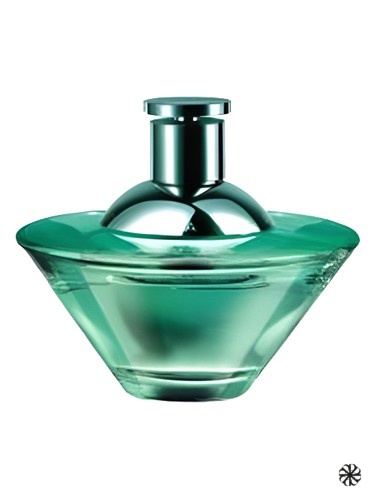 Paradox Green Jacomo