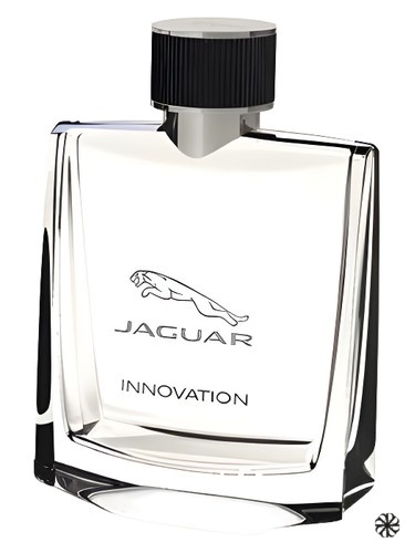 Jaguar Innovation Jaguar