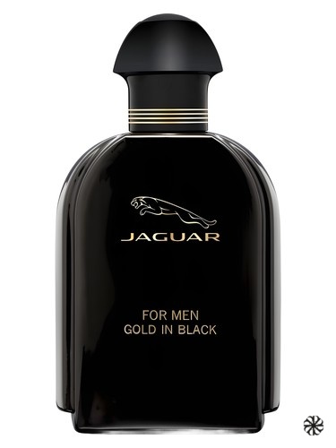 Jaguar For Men Gold in Black Jaguar