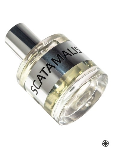 JD Scatamalis Base JD Jeffrey Dame