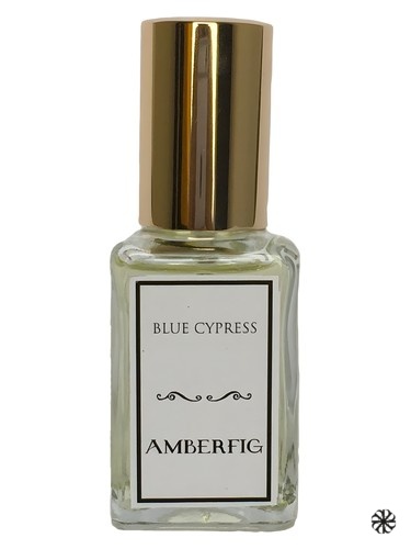 Blue Cypress Amberfig