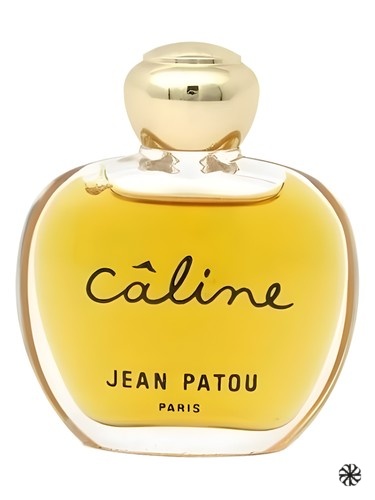 Câline Jean Patou