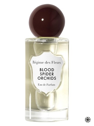 Blood Spider Orchids 2025 Régime des Fleurs