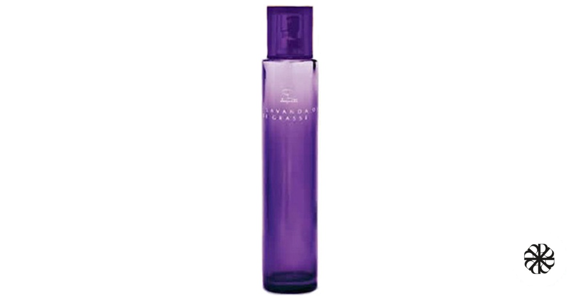 Lavanda de Grasse Jequiti