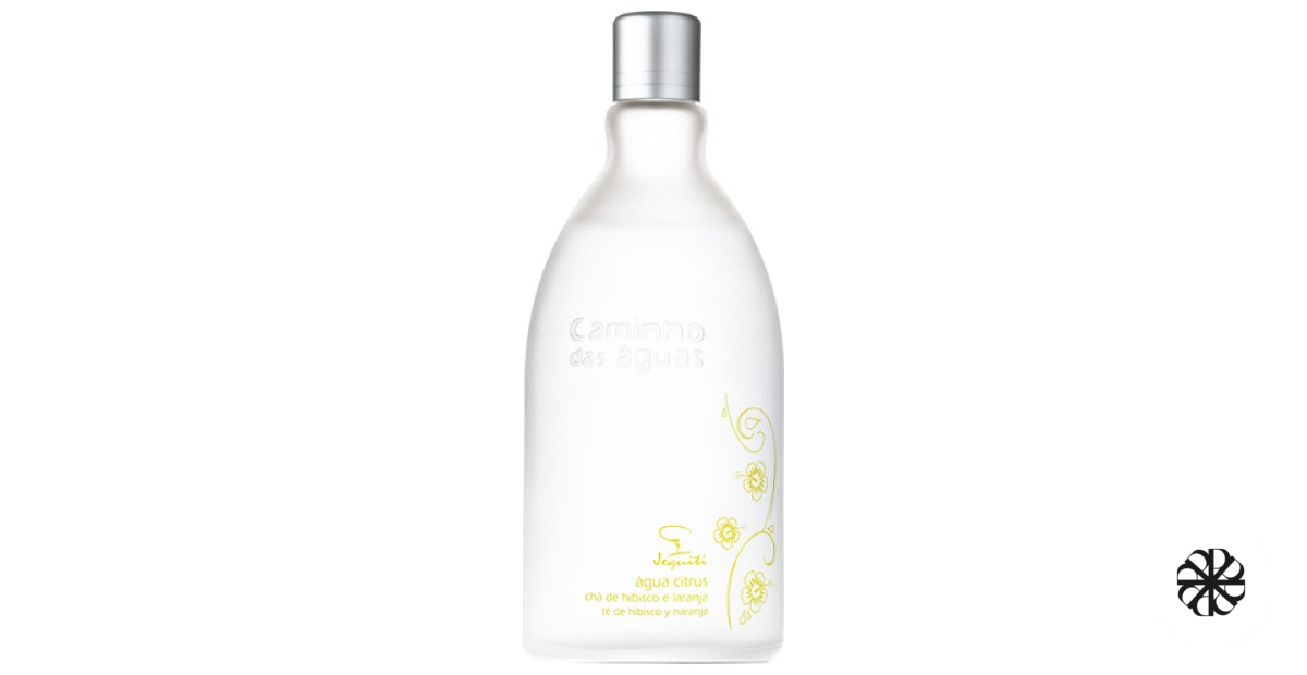 Água Citrus Chá de Hibisco e Laranja Jequiti