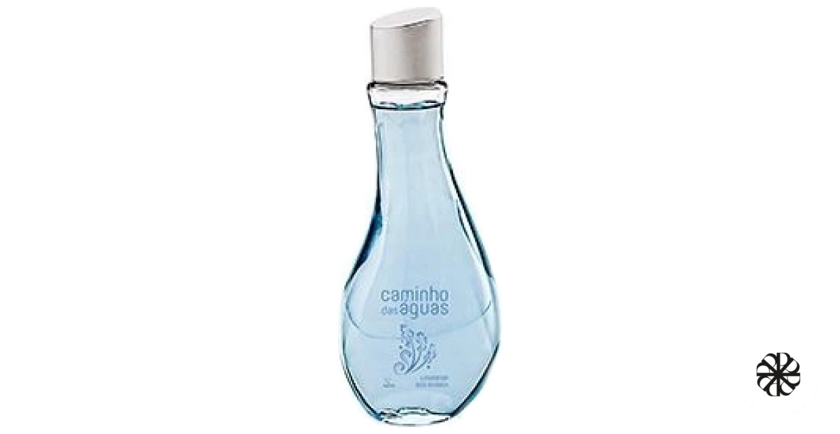 Lavanda dos Sonhos Jequiti