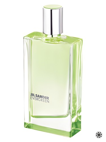 Evergreen Jil Sander