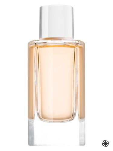 Sun Summer Edition Jil Sander