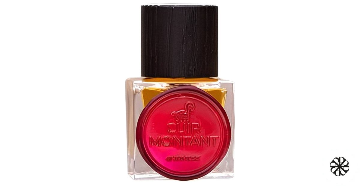 Cuir Montant Jinx Smells