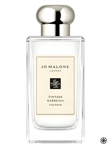 Vintage Gardenia Jo Malone London