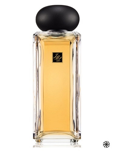 Midnight Black Tea Jo Malone London