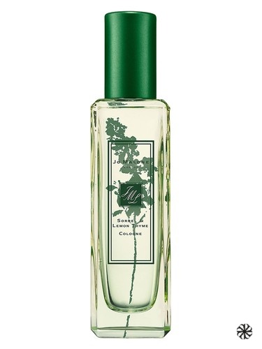 Sorrel & Lemon Thyme Jo Malone London
