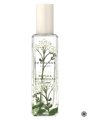 Nettle & Wild Achillea Jo Malone London