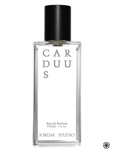 Carduus Jorum Studio