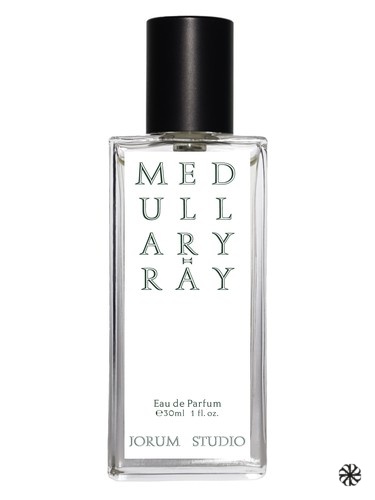 Medullary-ray Jorum Studio