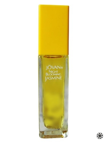 Night Blooming Jasmine Jovan