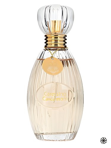 Caressing Cardamom Judith Williams