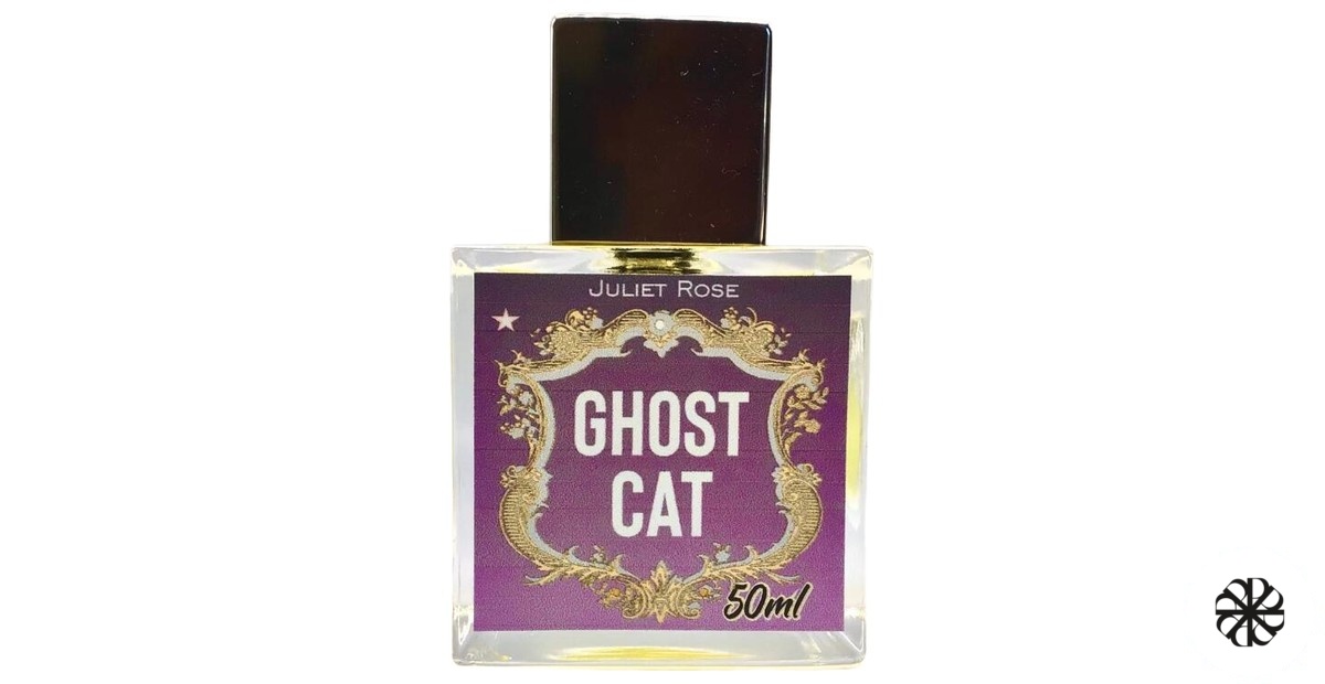 Ghost Cat Juliet Rose