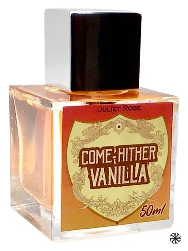 Come Hither Vanilla Juliet Rose