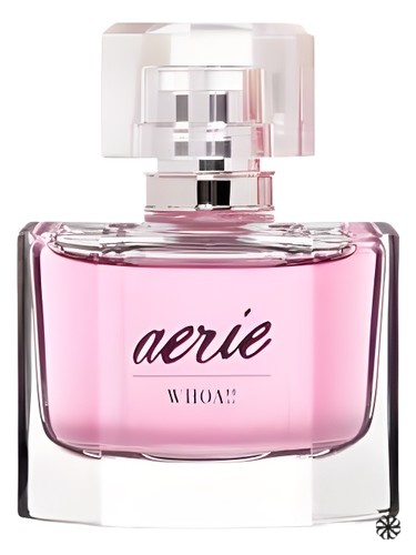 Aerie WHOA!! American Eagle