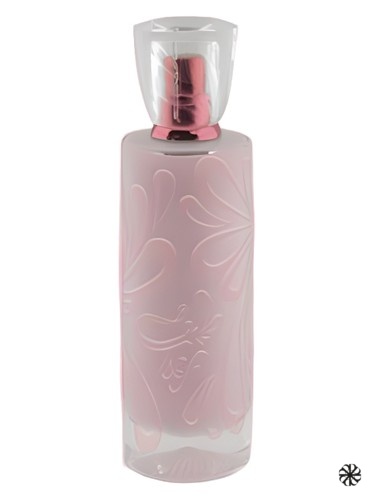 Taef Junaid Perfumes