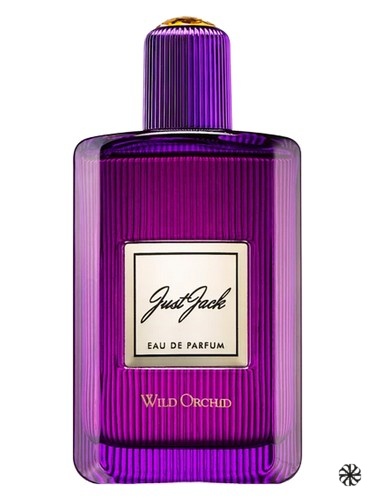 Wild Orchid Just Jack