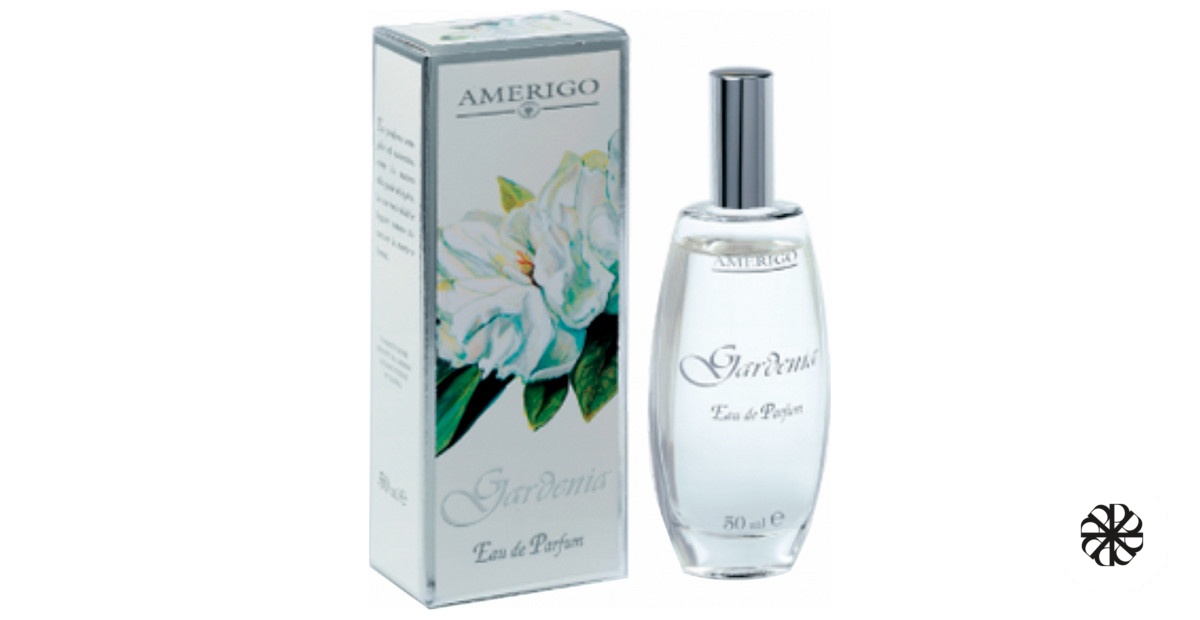 Gardenia Amerigo