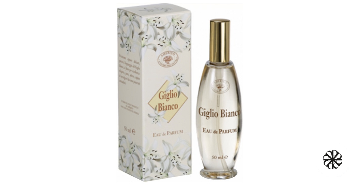 Giglio Bianco Amerigo
