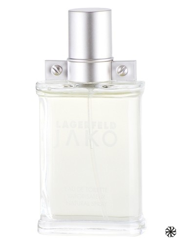 Jako Karl Lagerfeld