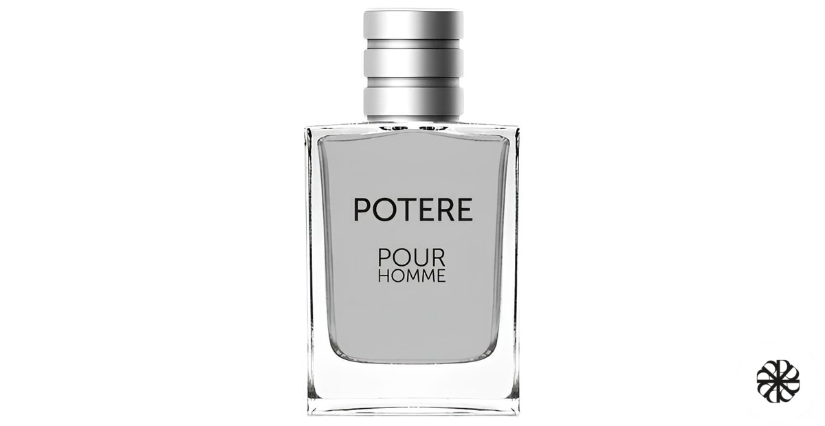 POTERE Pour Homme Kazan Perfume Factory Aromat