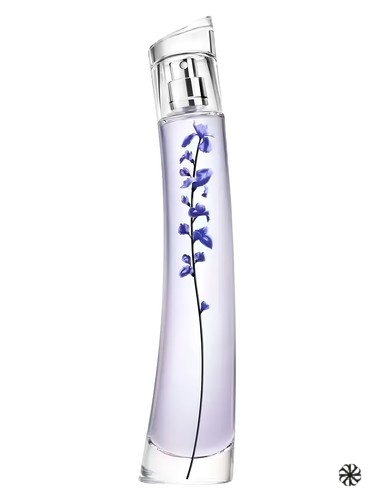 Flower Ikebana Indigo Kenzo