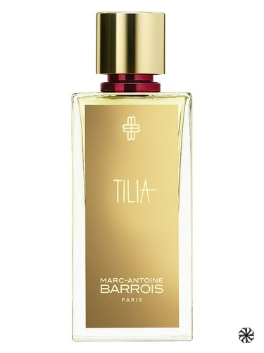 Tilia Marc-Antoine Barrois