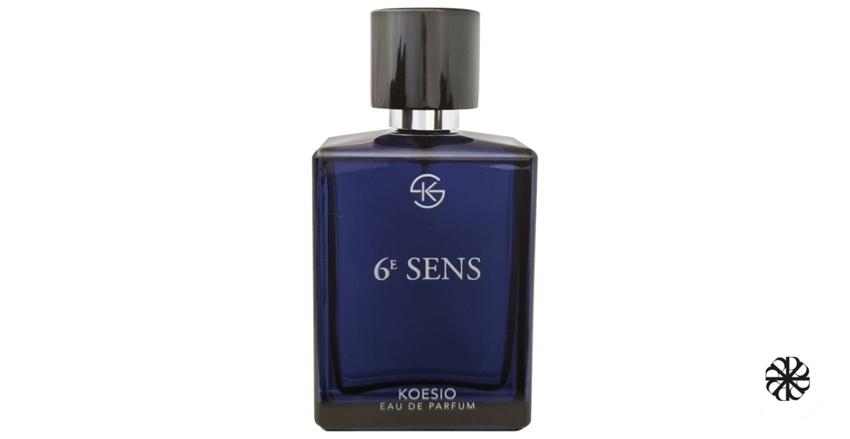 6E SENS Koesio