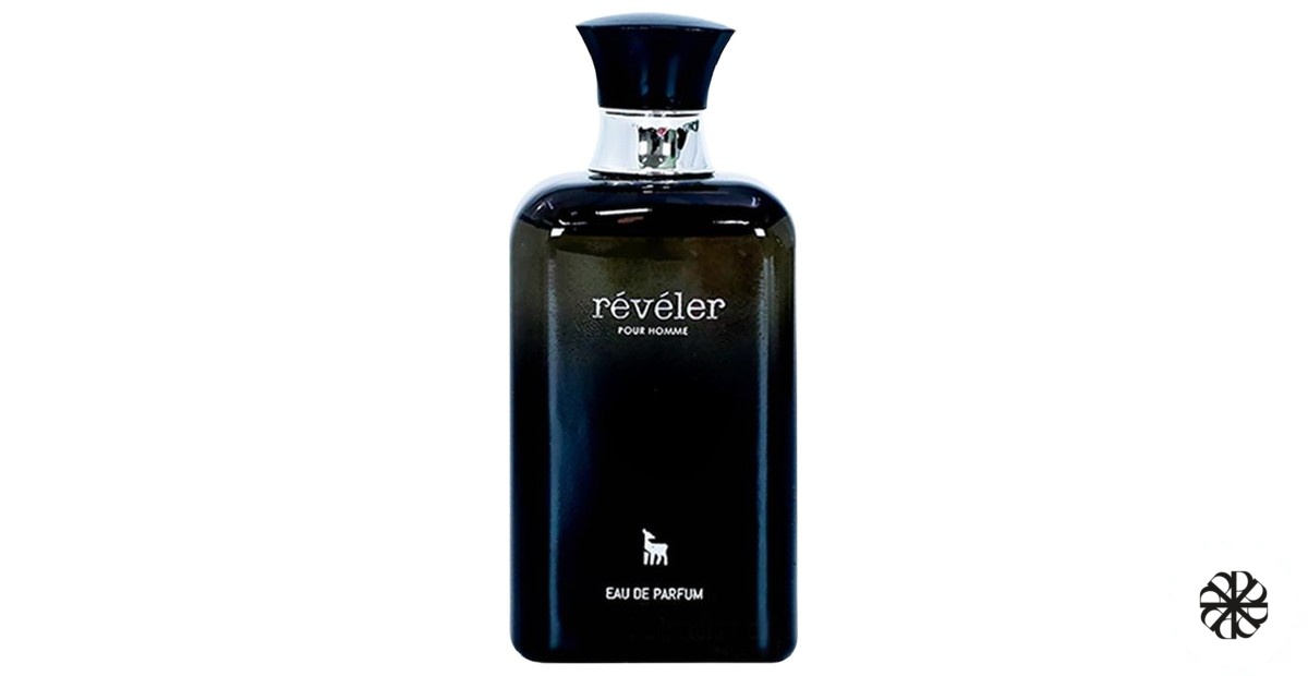 Révéler Pour Homme Kolmaz