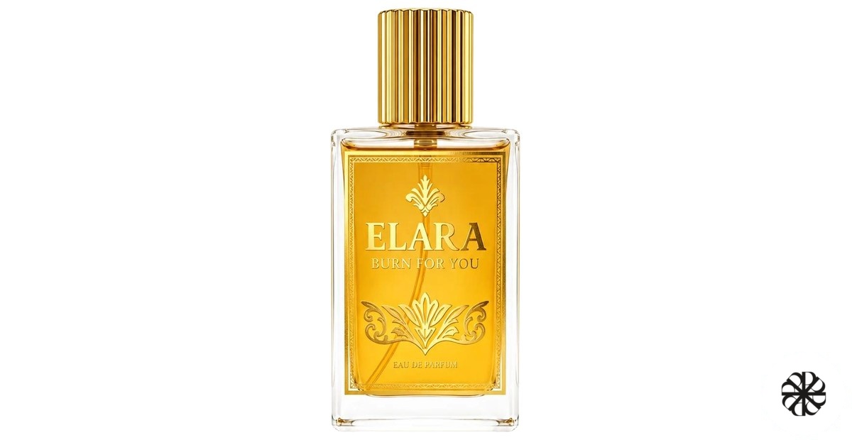 Burn For You Elara Paris
