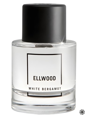 Ellwood White Bergamot Abercrombie & Fitch
