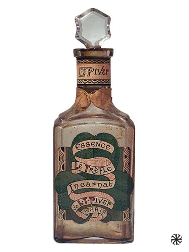 Trèfle Incarnat L.T. Piver