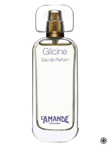Glicine L'Amande