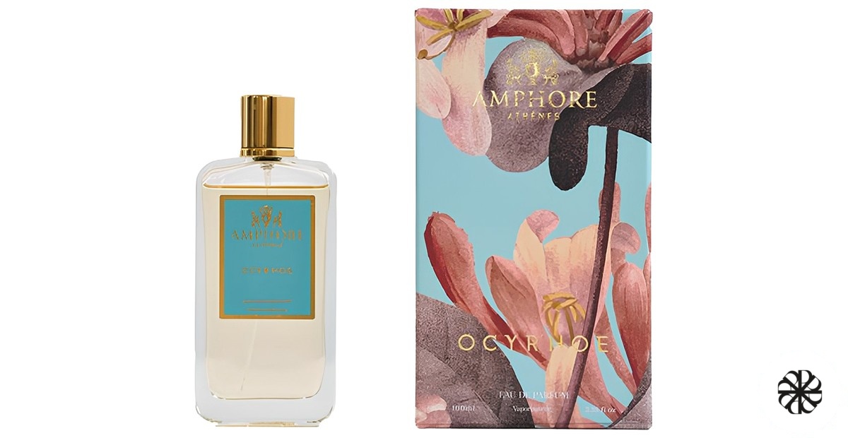 Ocyrhoe Amphore