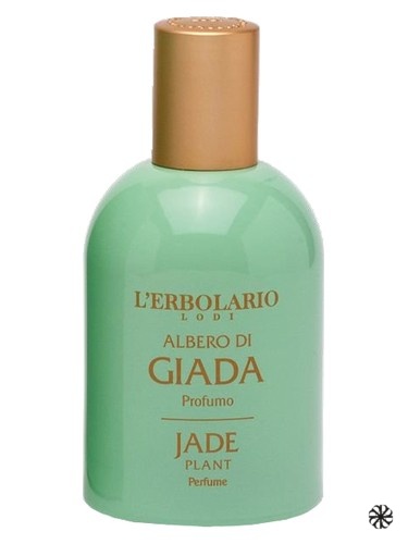 Jade Plant L'Erbolario